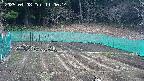 kannonmori-20250408110016.jpg
