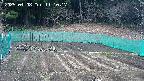 kannonmori-20250408111018.jpg