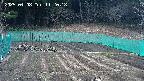 kannonmori-20250408112020.jpg