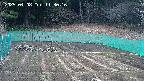 kannonmori-20250408113018.jpg