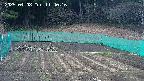 kannonmori-20250408114018.jpg