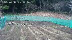 kannonmori-20250408120016.jpg
