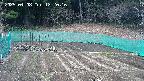 kannonmori-20250408122018.jpg