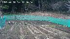 kannonmori-20250408124018.jpg