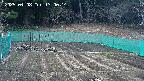 kannonmori-20250408130016.jpg