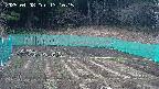 kannonmori-20250408131017.jpg