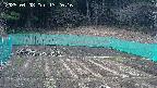 kannonmori-20250408132018.jpg