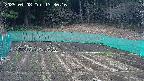 kannonmori-20250408133018.jpg