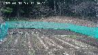 kannonmori-20250408134016.jpg