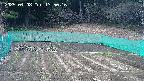kannonmori-20250408135017.jpg