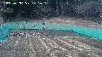 kannonmori-20250408141018.jpg