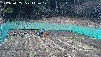 kannonmori-20250408143017.jpg