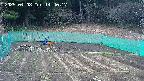kannonmori-20250408144018.jpg