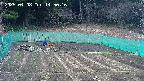 kannonmori-20250408145017.jpg