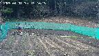 kannonmori-20250408151015.jpg