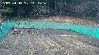 kannonmori-20250408152017.jpg