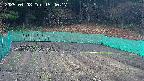 kannonmori-20250408154018.jpg