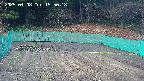 kannonmori-20250408155019.jpg