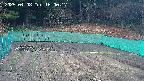 kannonmori-20250408160018.jpg