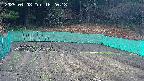 kannonmori-20250408162019.jpg