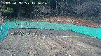 kannonmori-20250408163017.jpg