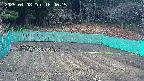 kannonmori-20250408164016.jpg