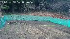 kannonmori-20250408165017.jpg