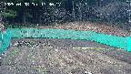 kannonmori-20250408173018.jpg