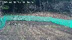 kannonmori-20250408180017.jpg