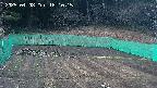 kannonmori-20250408181018.jpg