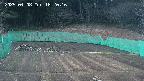 kannonmori-20250408182018.jpg