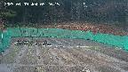 kannonmori-20250409052017.jpg