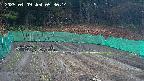 kannonmori-20250409053016.jpg