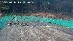 kannonmori-20250409055018.jpg