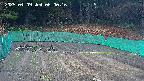 kannonmori-20250409060018.jpg