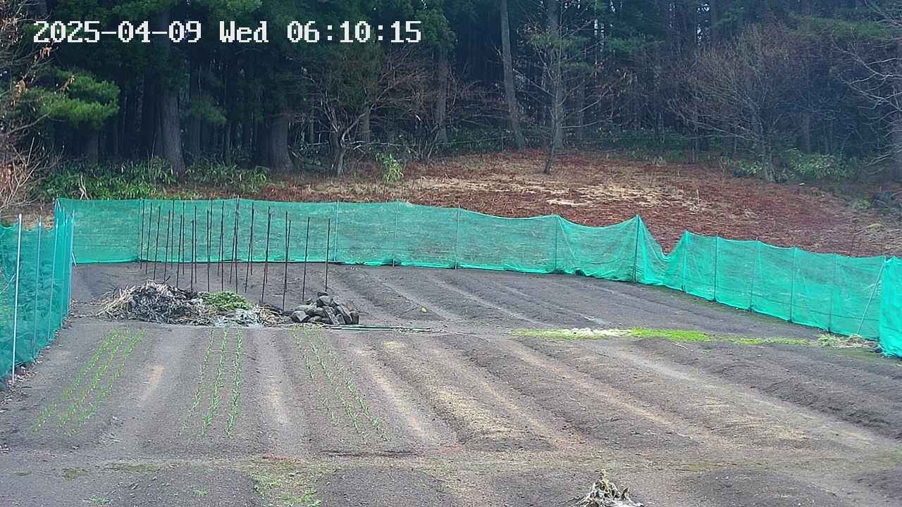kannonmori-20250409061017.jpg