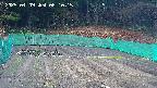 kannonmori-20250409061017.jpg