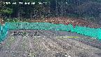 kannonmori-20250409062019.jpg