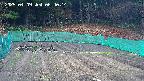 kannonmori-20250409064016.jpg