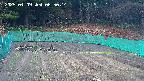 kannonmori-20250409065016.jpg