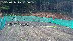 kannonmori-20250409070017.jpg