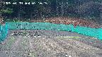 kannonmori-20250409071017.jpg