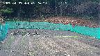 kannonmori-20250409072021.jpg