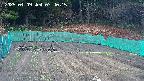 kannonmori-20250409074017.jpg