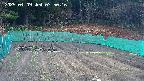 kannonmori-20250409075018.jpg
