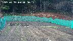 kannonmori-20250409080015.jpg