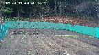 kannonmori-20250409082019.jpg