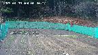 kannonmori-20250409083019.jpg