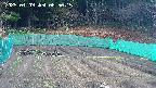 kannonmori-20250409085018.jpg