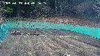 kannonmori-20250409092017.jpg